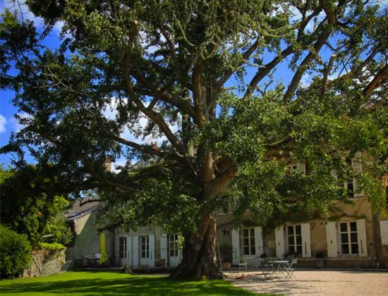 מלון מוג-סור-לואר Domaine Saint-Hilaire מראה חיצוני תמונה